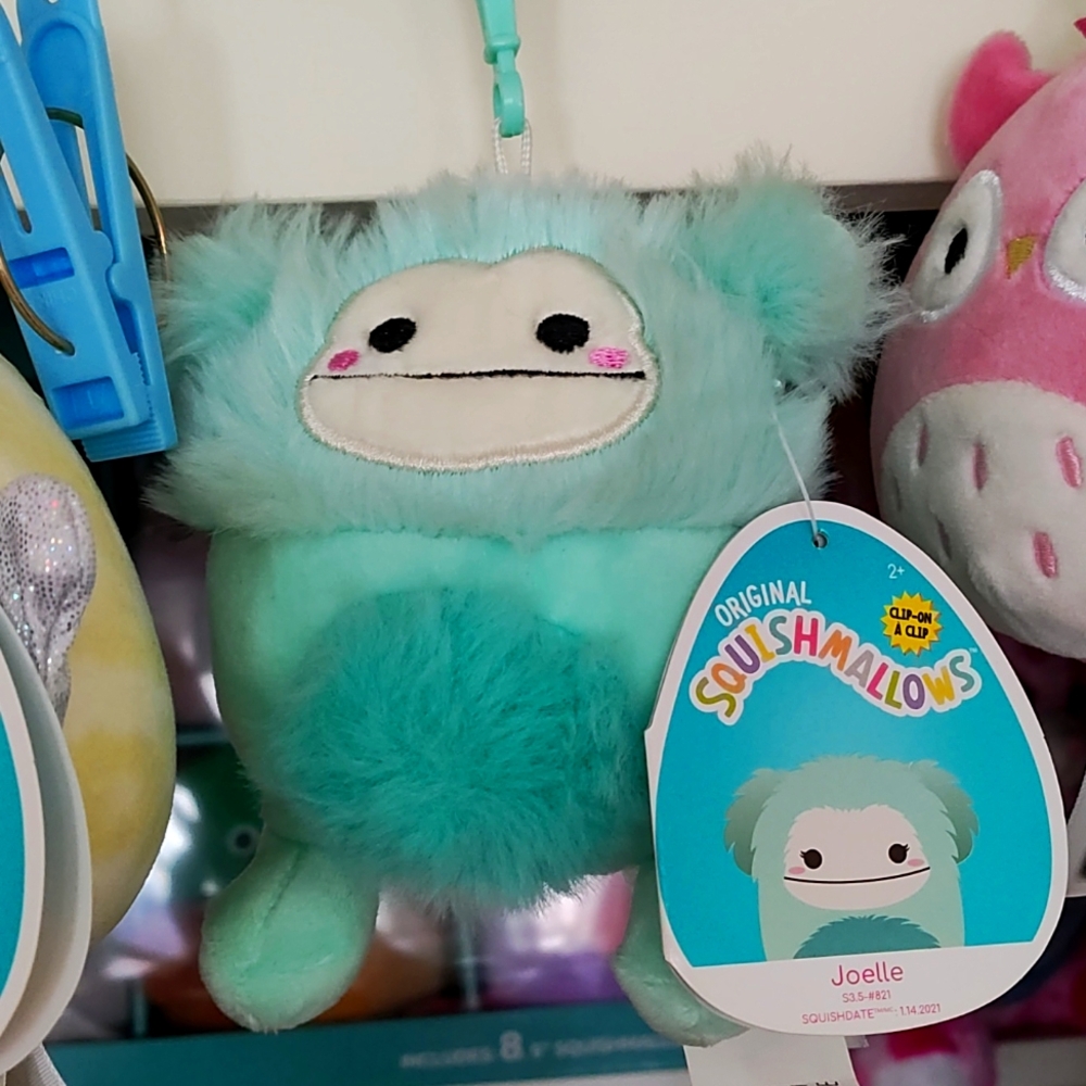 Squishmallow Mystery Clips Box